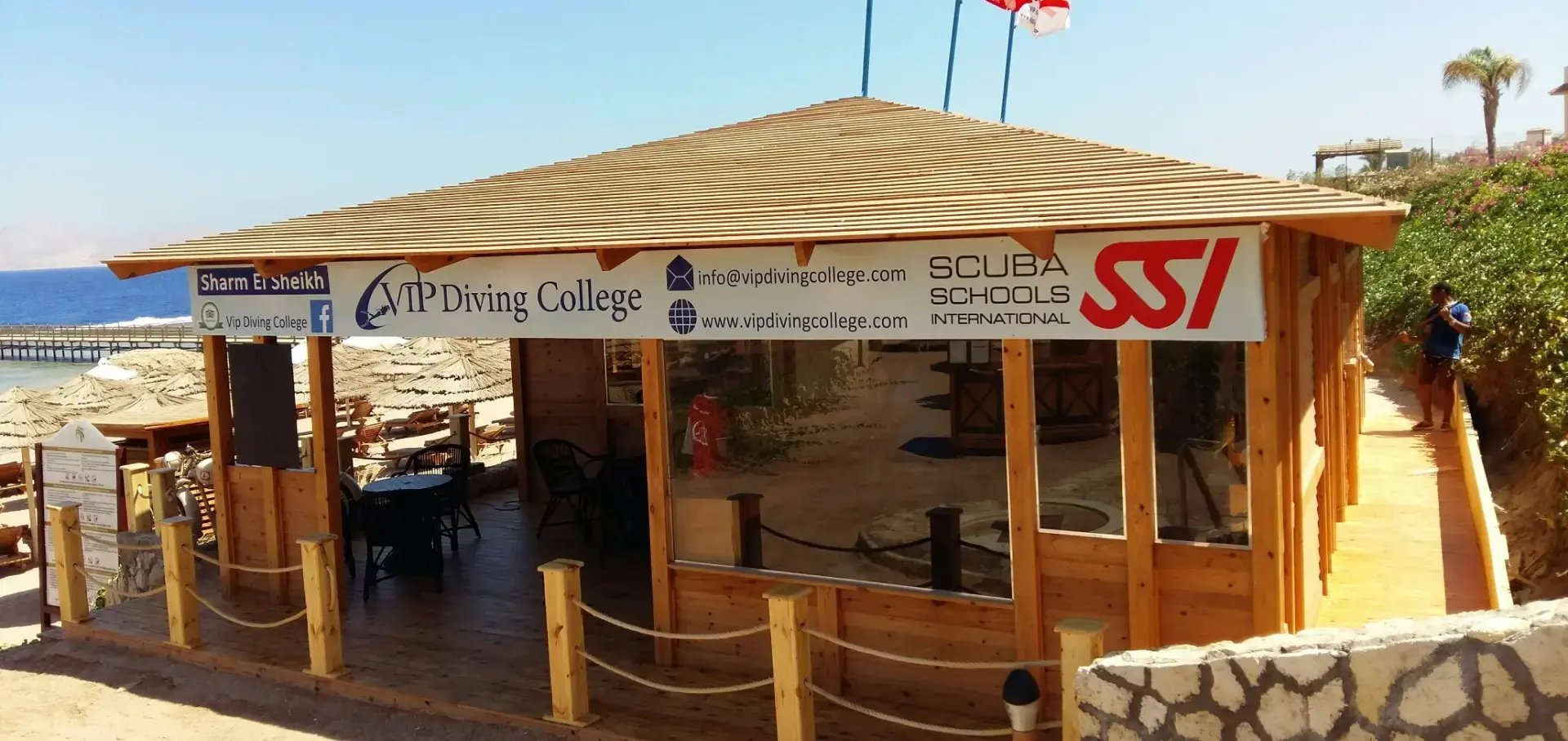 VIP Diving College