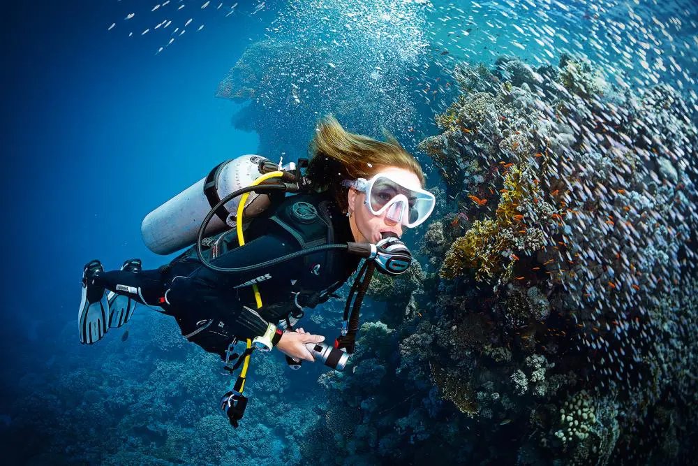 Scuba Diver to Open Water Diver