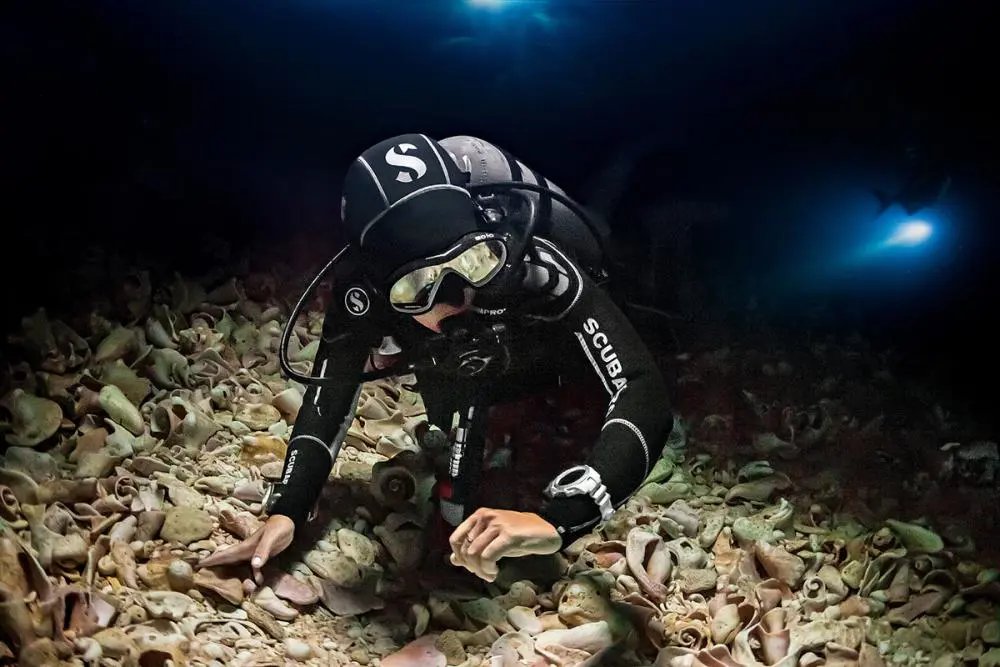 Specialty Night Diving & Limited Visibility