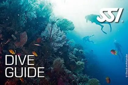 Dive Guide | Divemaster