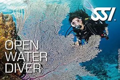 Open Water Diver