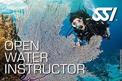 Open Water Instructor